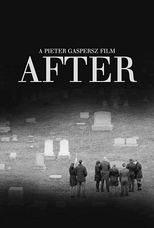 Movie poster for After (2014)