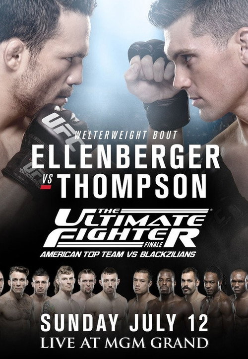 Movie poster for The Ultimate Fighter 21 Finale (2015)