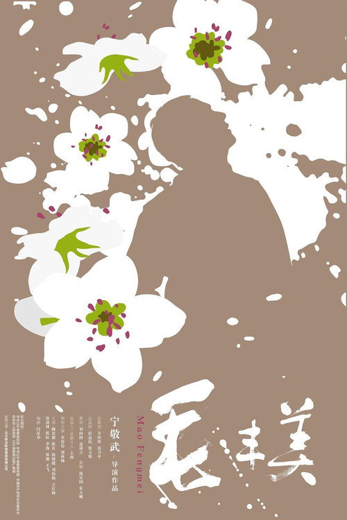 Movie poster for Mao Fengmei (2017)