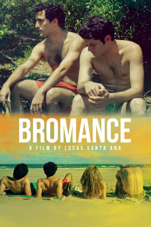 Movie poster for Bromance (2016)
