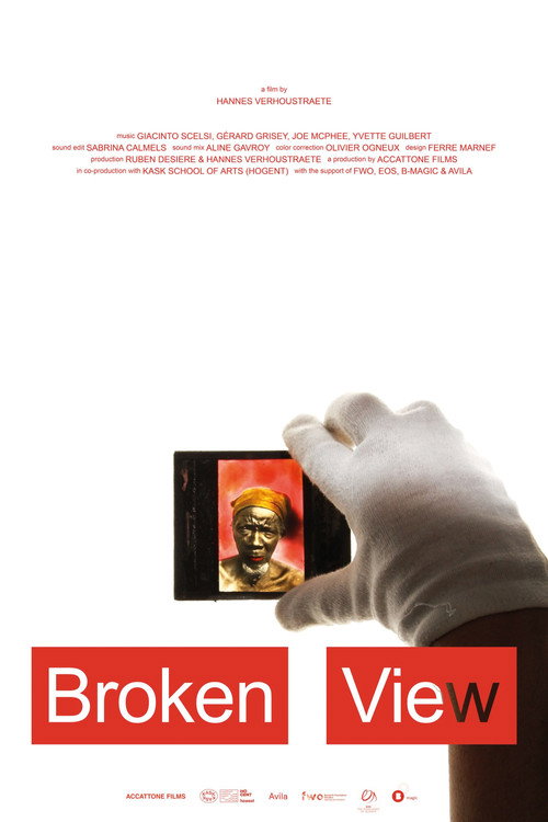 Movie poster for Broken View (2023)