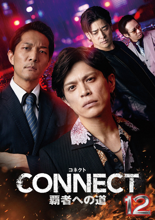 Movie poster for CONNECT: Road to Conquest 12 (2025)