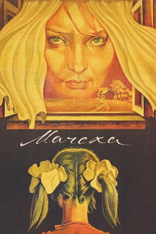 Movie poster for The Stepmother (1973)