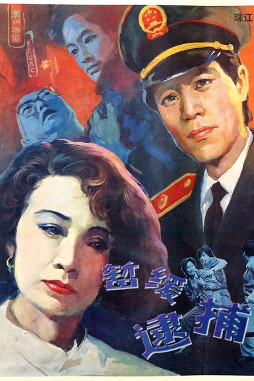 Movie poster for 暂缓逮捕 (1988)