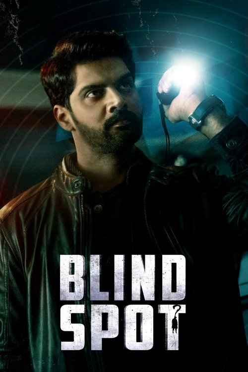 Movie poster for Blind Spot (2025)