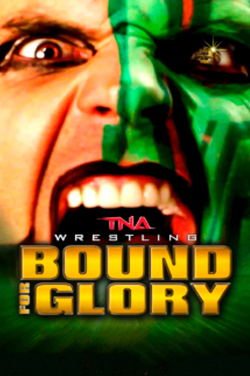 Movie poster for TNA Bound for Glory 2013 (2013)