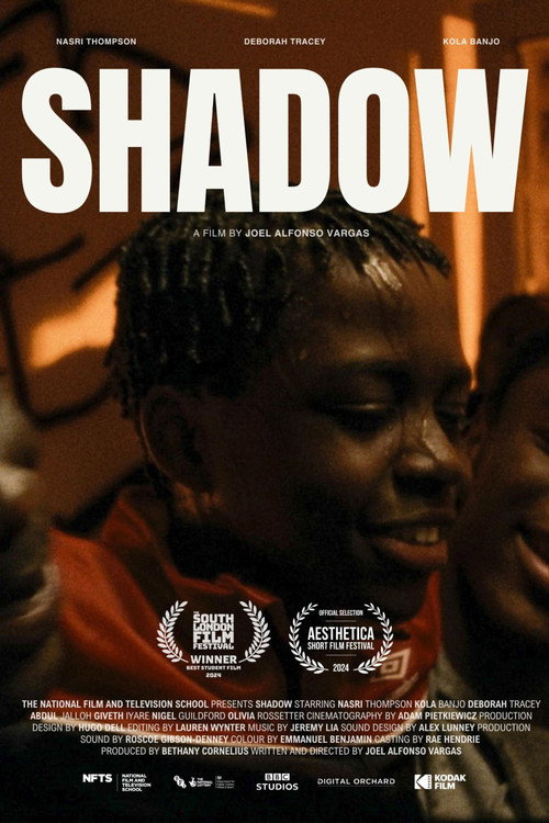 Movie poster for Shadow (2024)