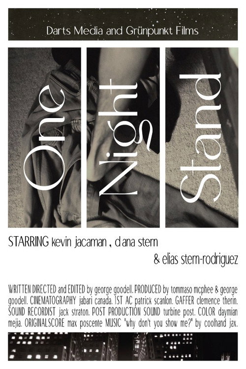 Movie poster for One Night Stand (2024)