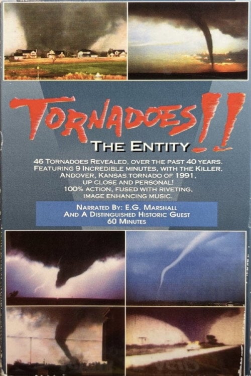 Movie poster for Tornadoes!! The Entity (1993)