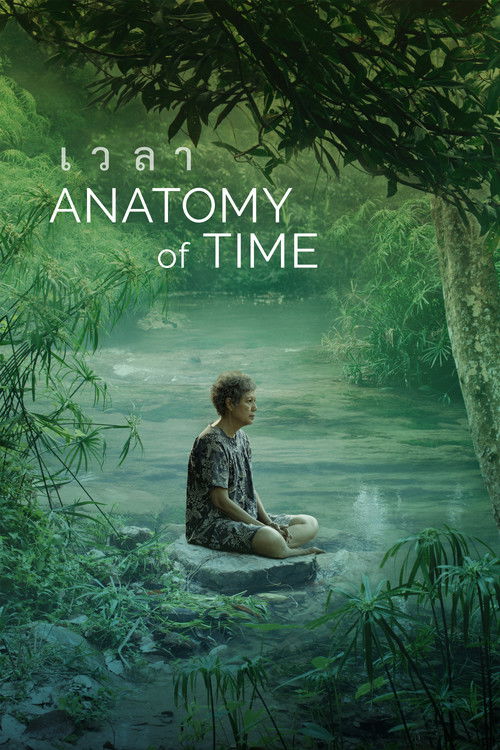 Movie poster for Anatomy of Time (2022)