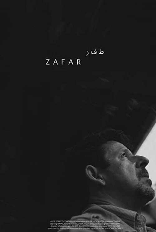 Movie poster for Zafar (2022)