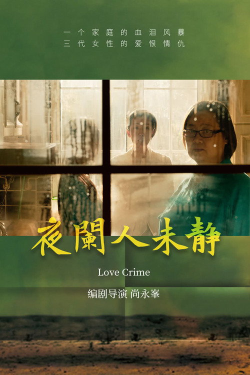 Movie poster for 夜阑人未静 (2024)