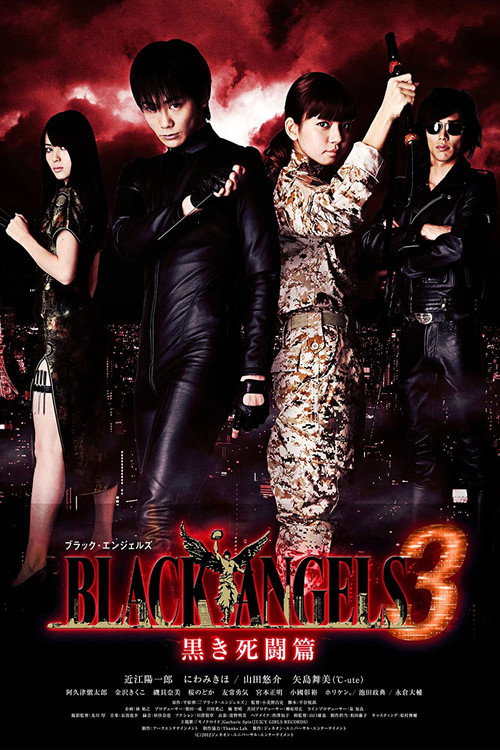 Movie poster for ブラック・エンジェルズ3 黒き死闘篇 (2012)