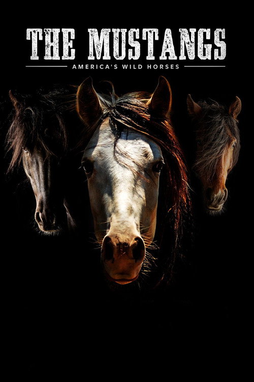 Movie poster for The Mustangs: America's Wild Horses (2021)