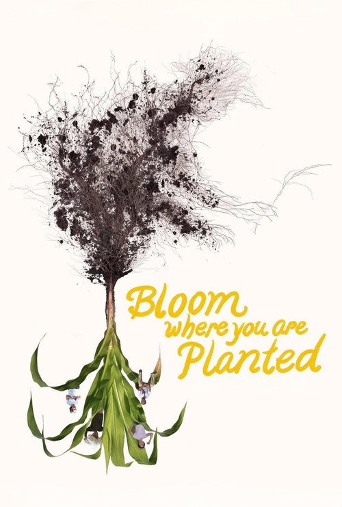 Movie poster for Bloom Where You Are Planted (2025)