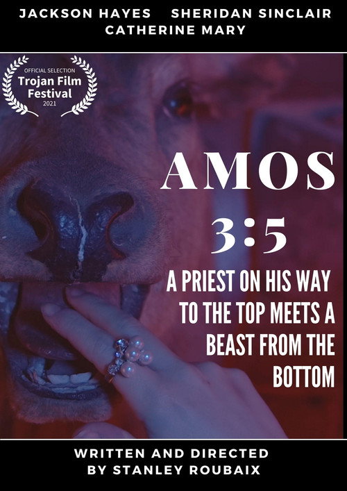 Movie poster for AMOS 3:5 (2021)