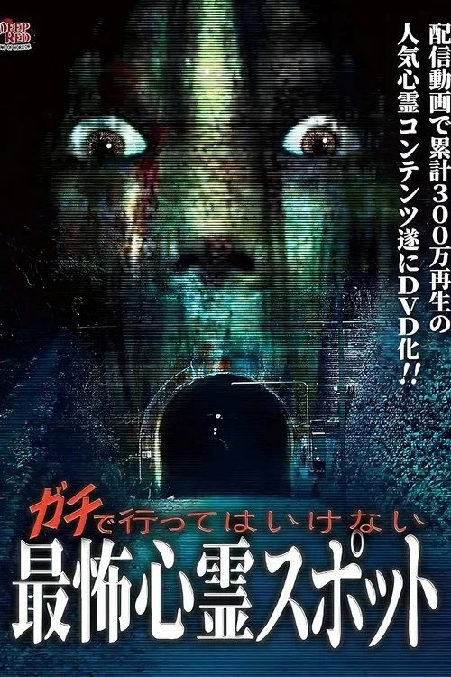 Movie poster for Gachi de Kowai Shinrei Spot! Gekijo-ban Naranu DVD-ban (2013)