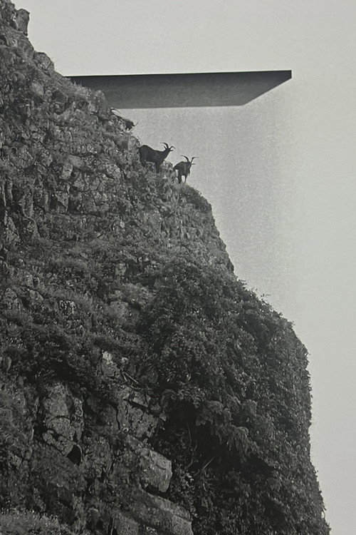 Movie poster for Orchid Island (2023)