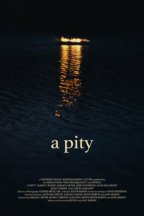 Movie poster for A Pity (2022)