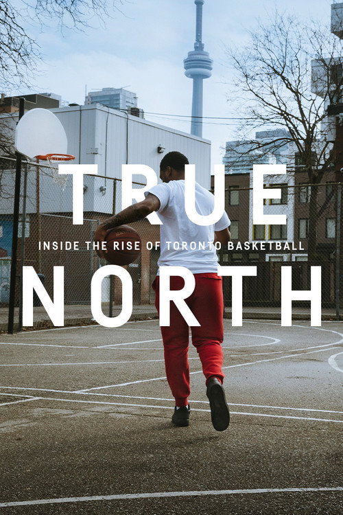 Movie poster for True North: Inside the Rise of Toronto Basketball (2019)