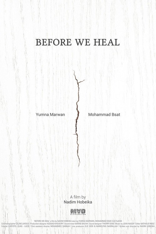 Movie poster for Before We Heal (2018)