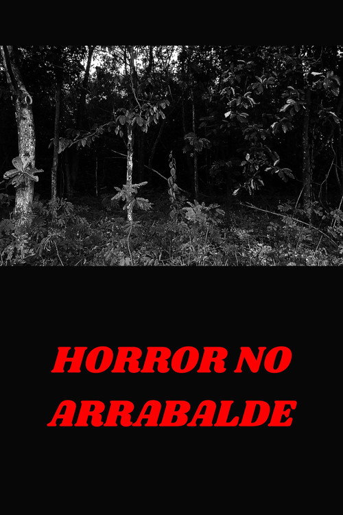 Movie poster for HORROR NO ARRABALDE (2025)