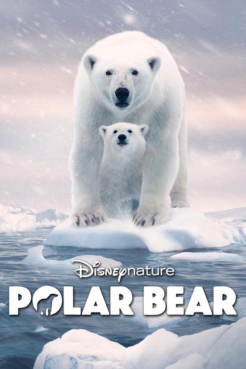 Movie poster for Polar Bear (2022)