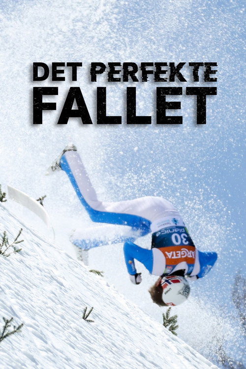 Series poster for Det perfekte fallet (2022)