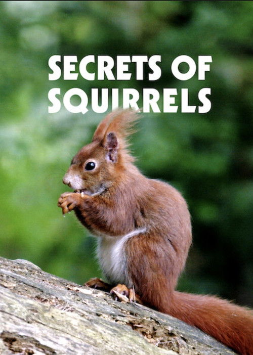 Movie poster for Secrets of Squirrels (2018)