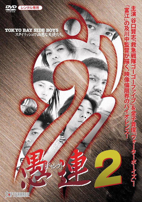 Movie poster for Gang 2 (2001)
