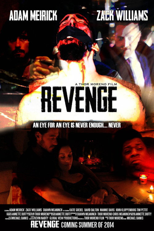 Movie poster for Revenge: A Love Story (2014)