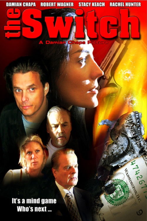 Movie poster for The Switch (2006)