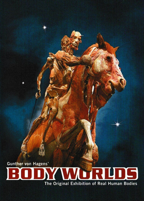 Movie poster for Body Worlds (1999)
