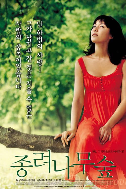 Movie poster for Palm Tree Grove (2005)