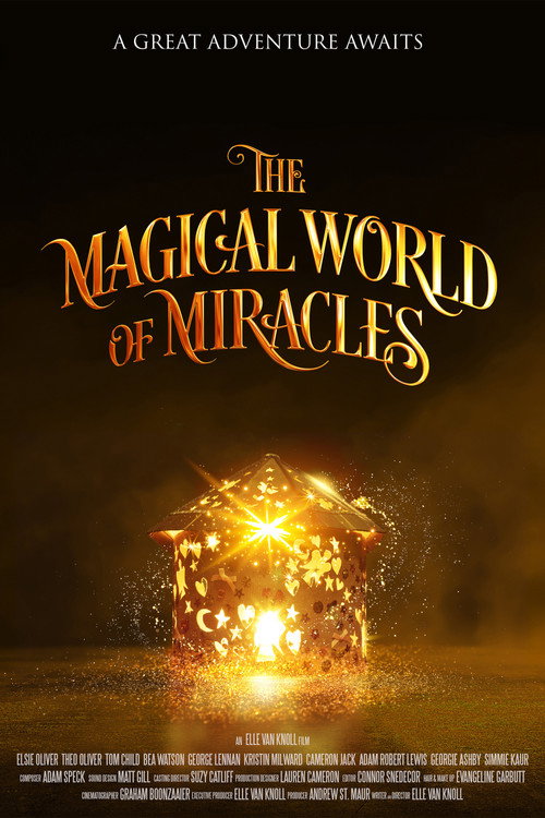 Movie poster for The Magical World Of Miracles