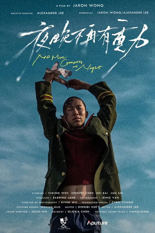 Movie poster for No More Gravity At Night (2024)