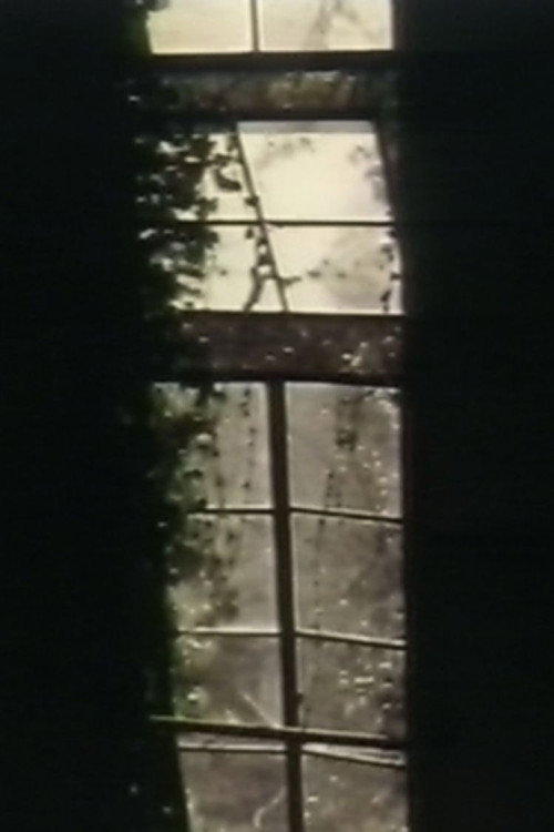 Movie poster for See Through The Shadow Of Darkness (1996)