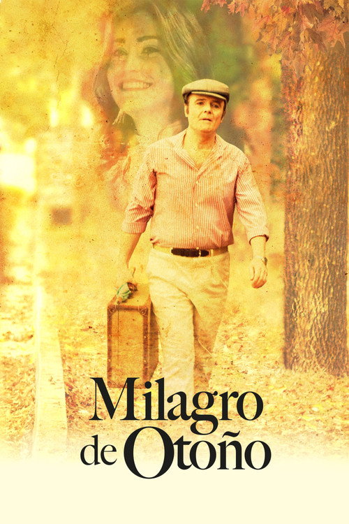 Movie poster for Miracle in the Fall (2019)