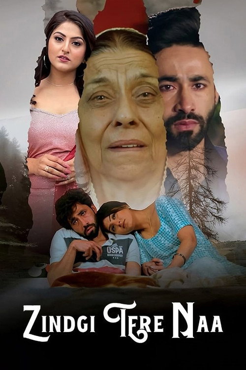 Movie poster for Zindgi Tere Naa (2024)