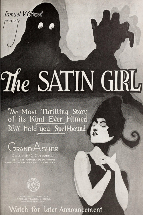 Movie poster for The Satin Girl (1923)