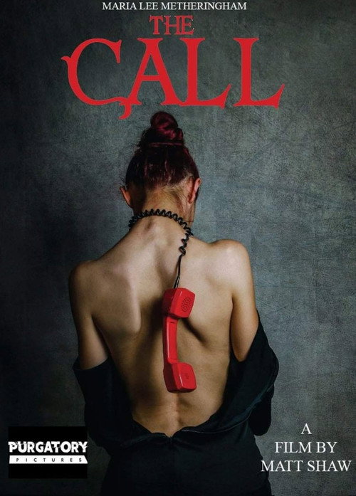 Movie poster for The Call