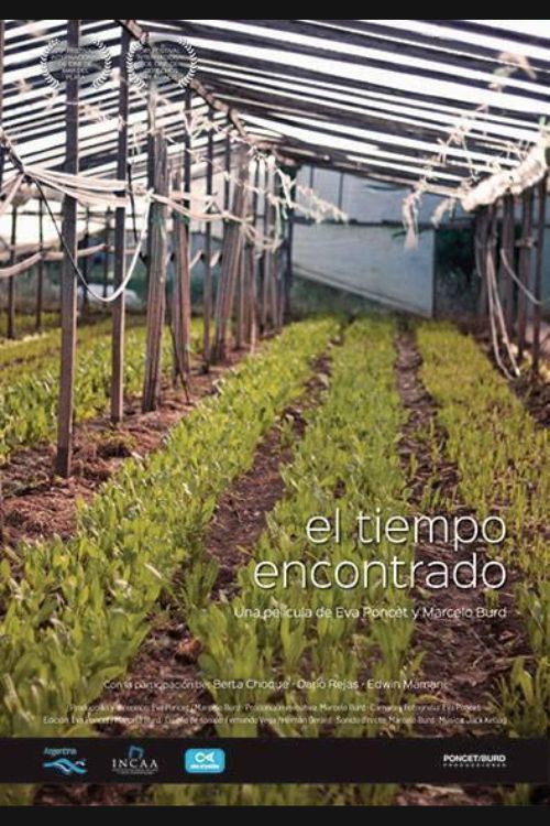 Movie poster for El tiempo encontrado (2015)