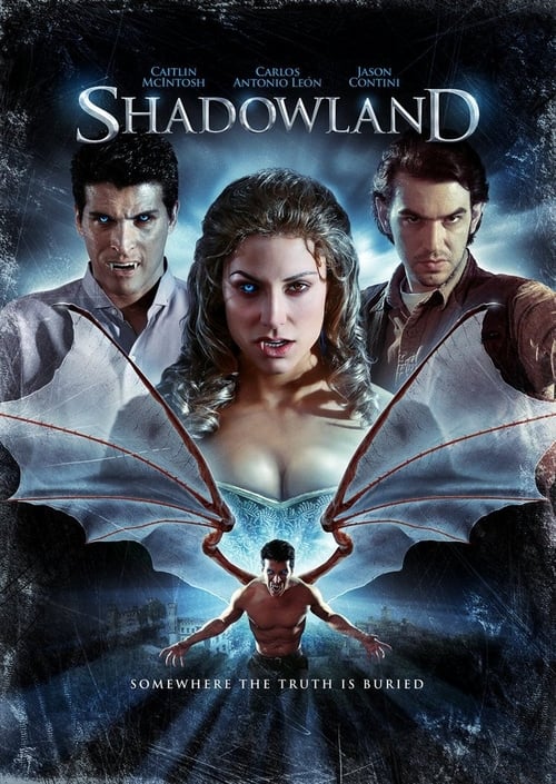 Movie poster for Shadowland (2010)
