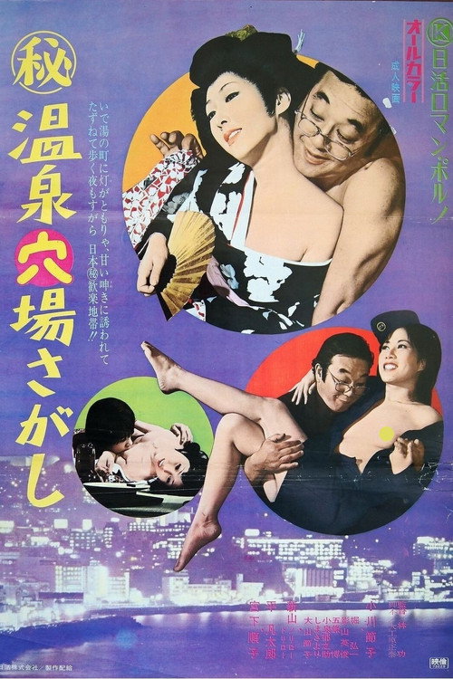 Movie poster for Maruhi onsen anaba sagashi (1973)