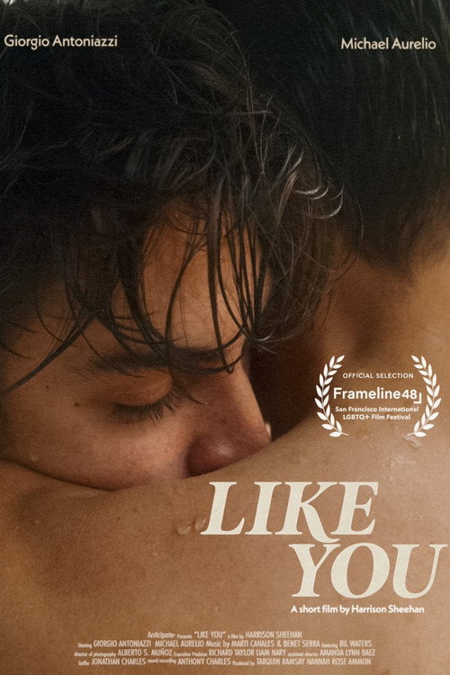 Movie poster for Like You (2024)