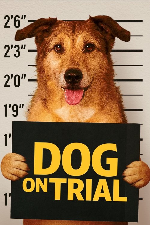 Movie poster for Dog on Trial (2024)