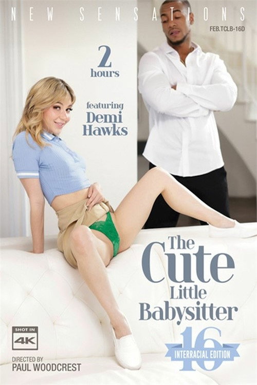 Movie poster for The Cute Little Babysitter 16 (2023)