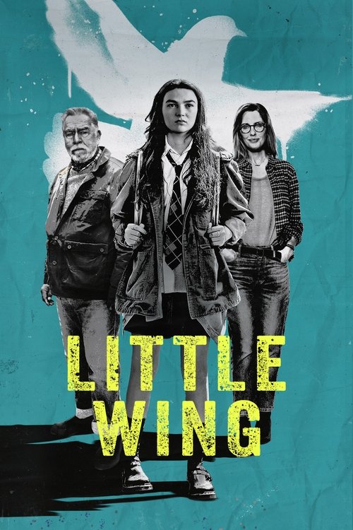 Movie poster for Little Wing (2024)