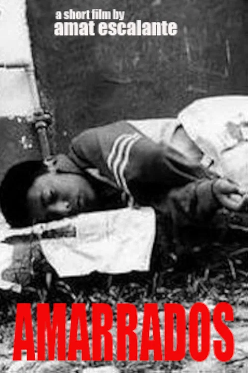Movie poster for Tied Up (2002)