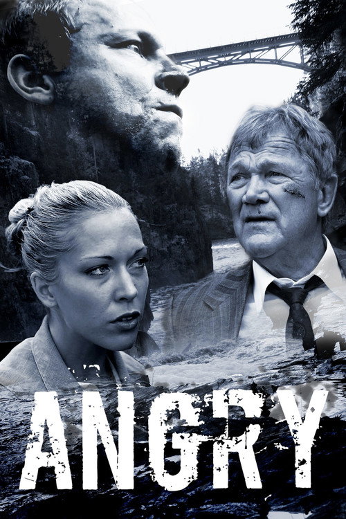 Movie poster for Angry (2010)